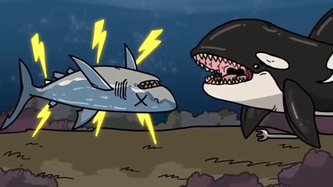 Чому Касатки топлять човни ???