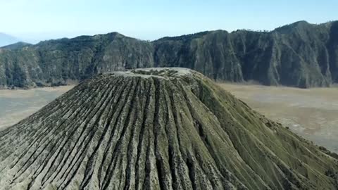 footage of nature