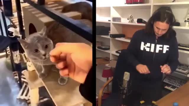 Alugalug Cat X The Kiffness (Soulful Singing Cat Live Looping Remix)