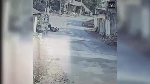 Monkeys Attack Residents