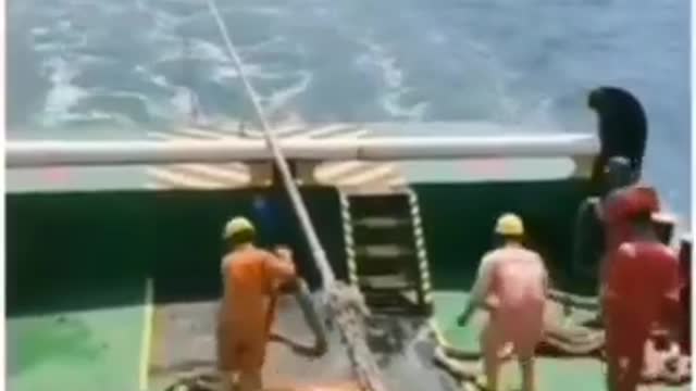 omg ! expensive failure