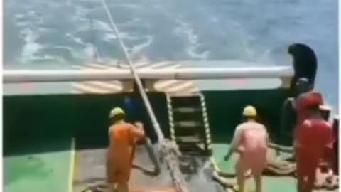 omg ! expensive failure
