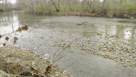 Chillout For A Moment At Raccoon Creek !