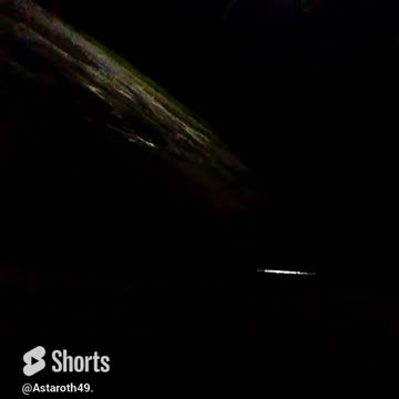 I wish those frogs were bigger. #wildlife #fml