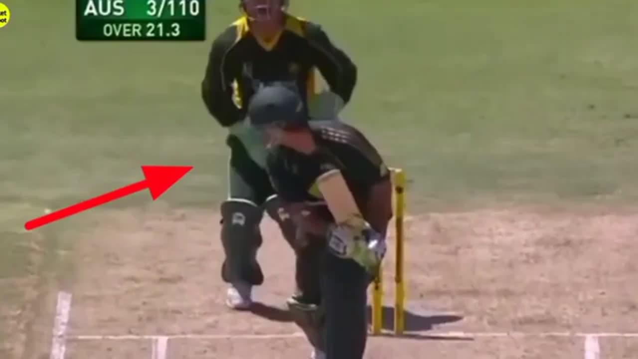 Funny Moments In Sports Compilation