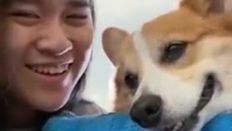 Kiss your Dog 🐶