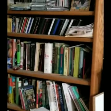 20240320 201501 Tux Bookcase High