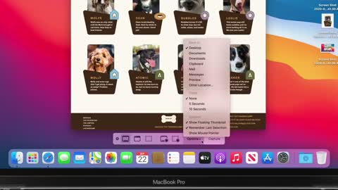 How to take a screenshot on your Mac