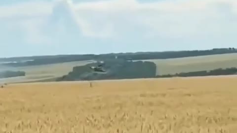 Ukraine burning wheat