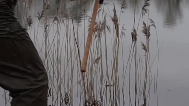Phil out targeting them autumn roach