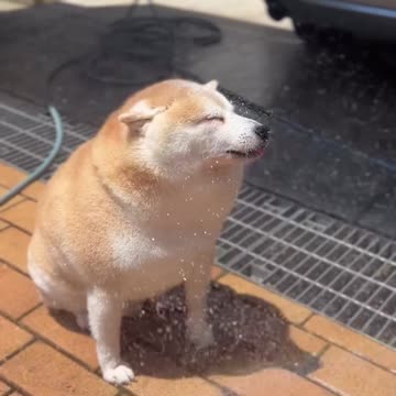 Tasty cool water droplets on a hot summer day