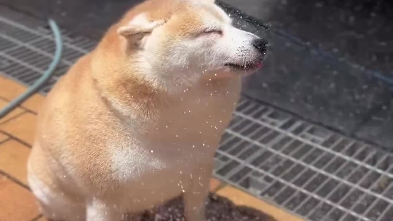 Tasty cool water droplets on a hot summer day