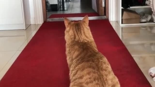 Every day is always quietly waiting for me to come back
