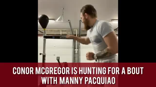 Conor McGregor boxing