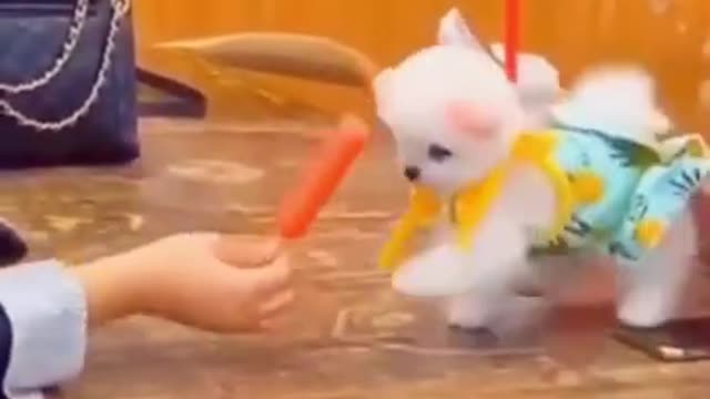 The dog just wants to eat, funny dog