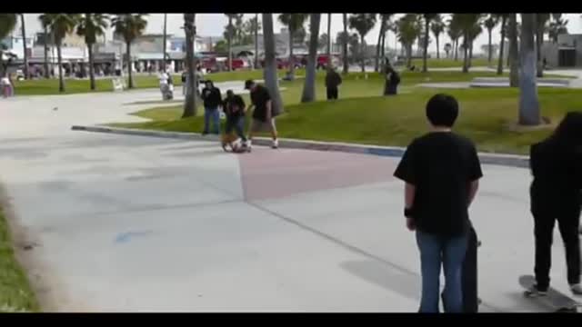 Skateboarding dog must watch