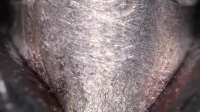 عيناك لا تري كل شئ _ سلك ألومنيوم _ _