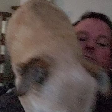 Visiting sister home and Tiny dog sit on me