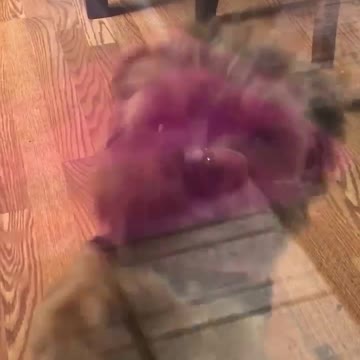 Open the door please mom!