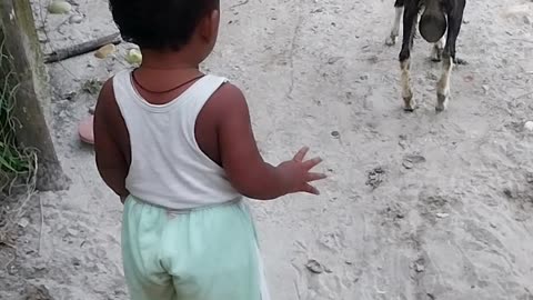 Twins Baby And goat Masti | #shorts #short #shortvideo #babytwins #viralvideo #funny #babyfight