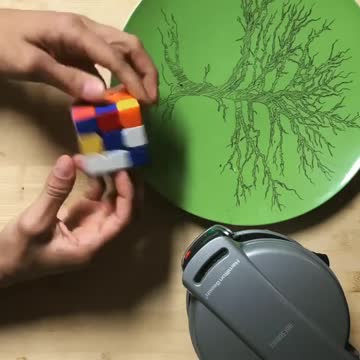 electric sandwich maker make your backfast