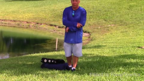 The Best protection dogs..... have ultimate control (part 3)