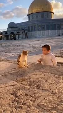 Watch the moment a toddler shares his food with a cat. May Allah bless him. Ameen