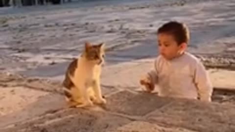 Watch the moment a toddler shares his food with a cat. May Allah bless him. Ameen