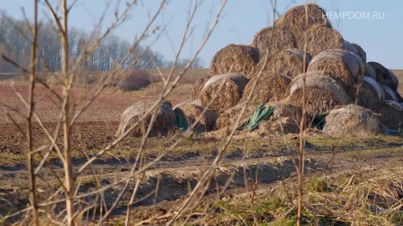 Вы ищете натуральное, экологичное и высококачественное волокно_