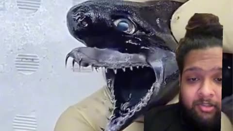 They captured a baby Laviathan