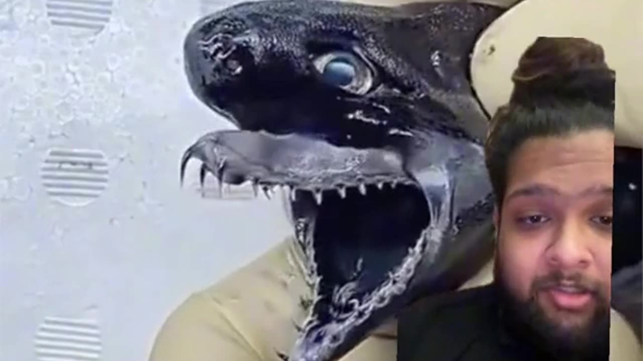 They captured a baby Laviathan