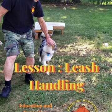 Ruff Cut PodCast Leash Handling part 2 cut aa
