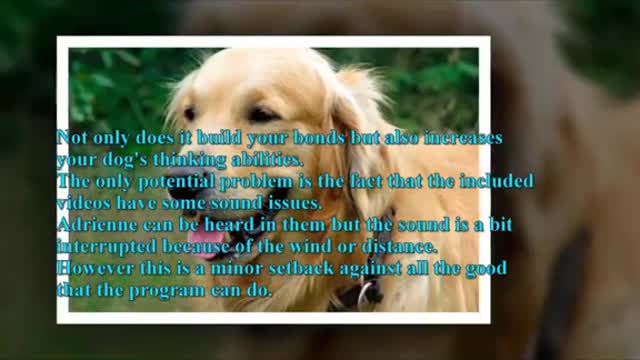 Brain Training For Dogs Review | Unique Dog Training Course