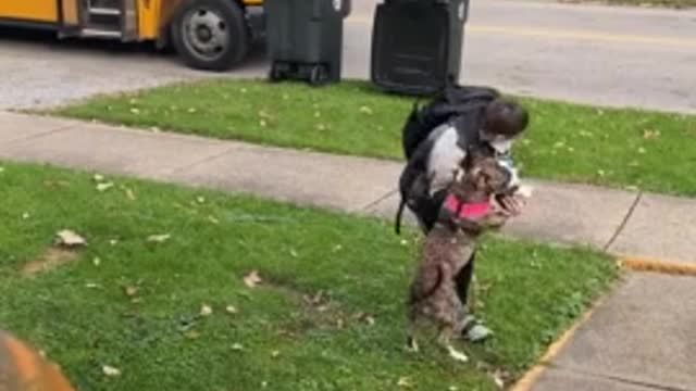 The dog eagerly awaits the best friend's return home from school