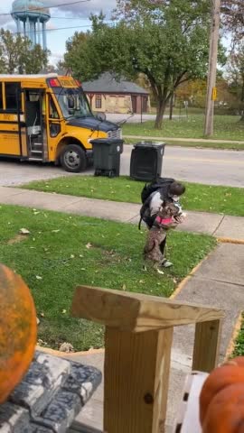 The dog eagerly awaits the best friend's return home from school