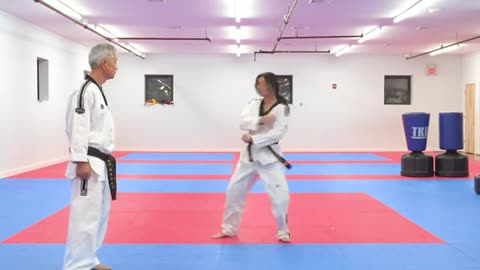 Taekwondo Training