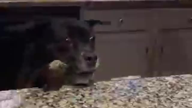 what can't you do if you want to eat