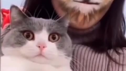 The Funniest Cat Videos on the Internet 🤣🐱