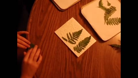 Pressed Flower Christmas Cards