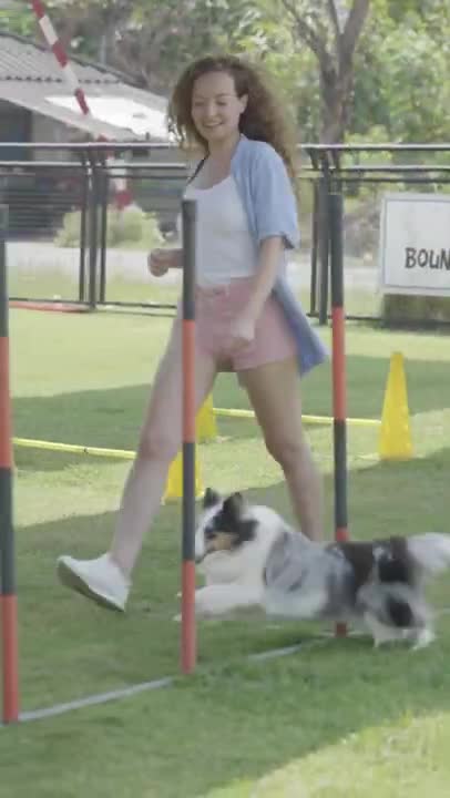 Woman teaching a dog new short video ! dog training ! funny dog videos 2021 clean ! #shorts