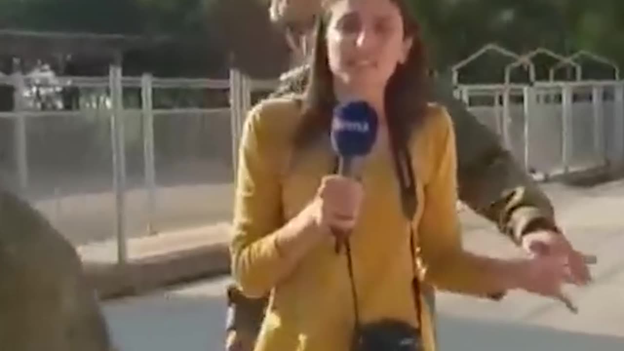 Live TV Laughs: Hilarious Bloopers That Had Viewers in Stitches