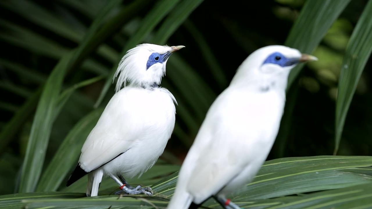Wildlife's & Funs