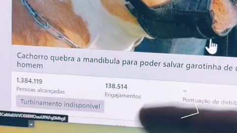 5 mil por Mês falando de pets!!