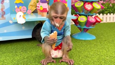 Monkey Baby Bon Bone plays mischievously in the swimming pool and eats jelly watermelon ice cream.
