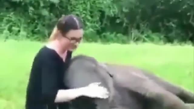 Animals SOO Cute! Cute baby animals Videos Compilation cutest moments in 2021