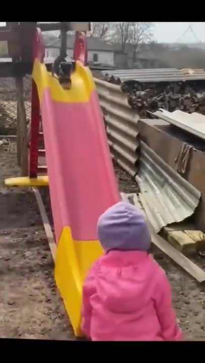 Kid helps cute puppy down a slide