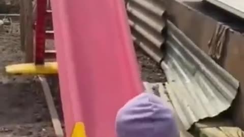 Kid helps cute puppy down a slide