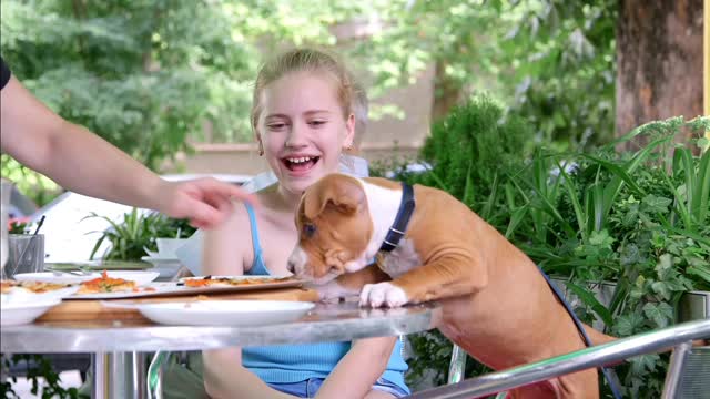 Puppies love pizza too. +plus baby and puppy compilation at an epic moment.