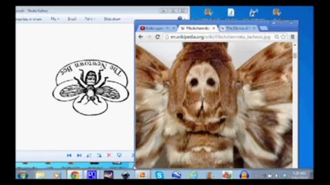 Sandy Hook Newtown Bee LOGO FINALLY DECODED: The Lambs Have Been Silenced! 2014