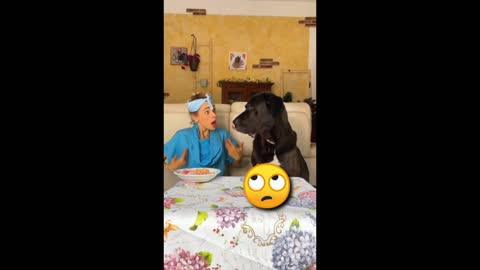 Just a Little Prank - Funny Dog Videos 2021